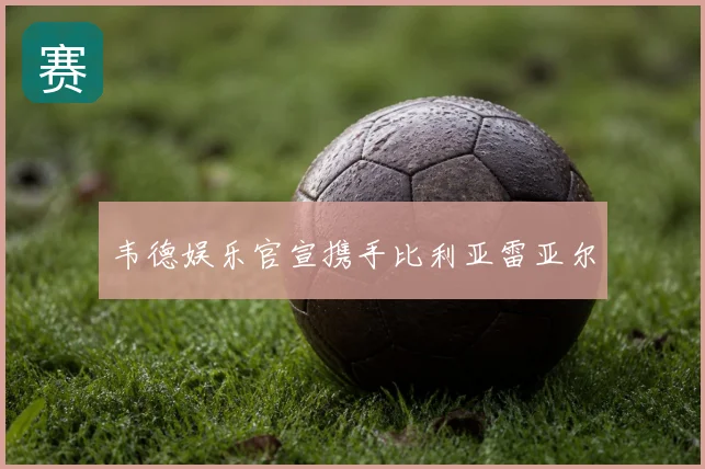 韦德娱乐官宣携手比利亚雷亚尔