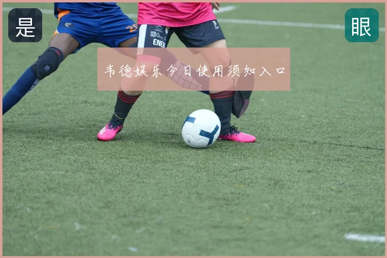 韦德娱乐今日使用须知入口